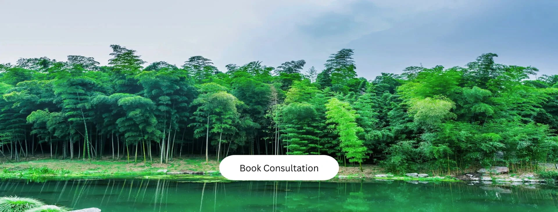 Landscaping services in Ahmedabad, Gandhinagar, Vadodara, Surat & Sanand